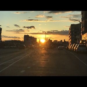 Meet your Posher, Josey